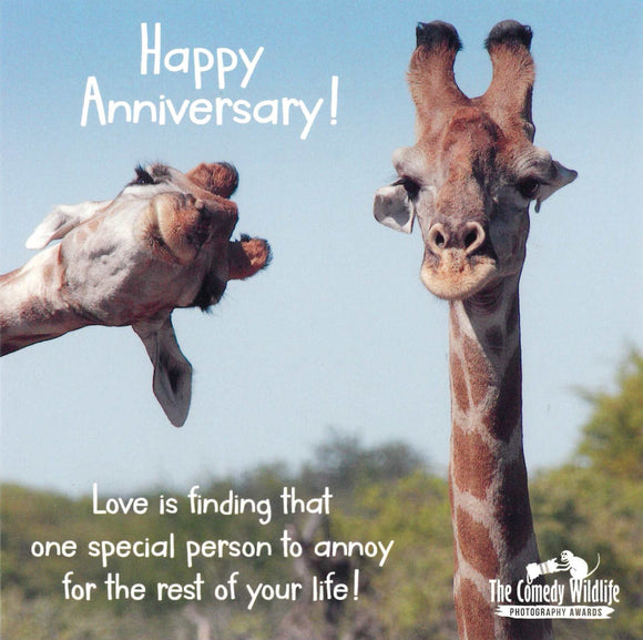 ANNIVERSARY CARD ONE SPECIAL PERSON GIRAFFES