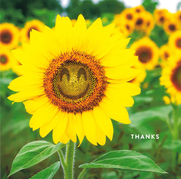 THANK YOU CARD SMILING SUNFLOWER