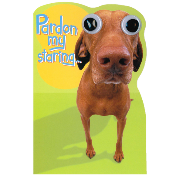 BIRTHDAY CARD DOG GOOGLY EYES
