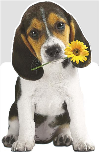 BIRTHDAY CARD PUPPY WITH YELLOW FLOWER
