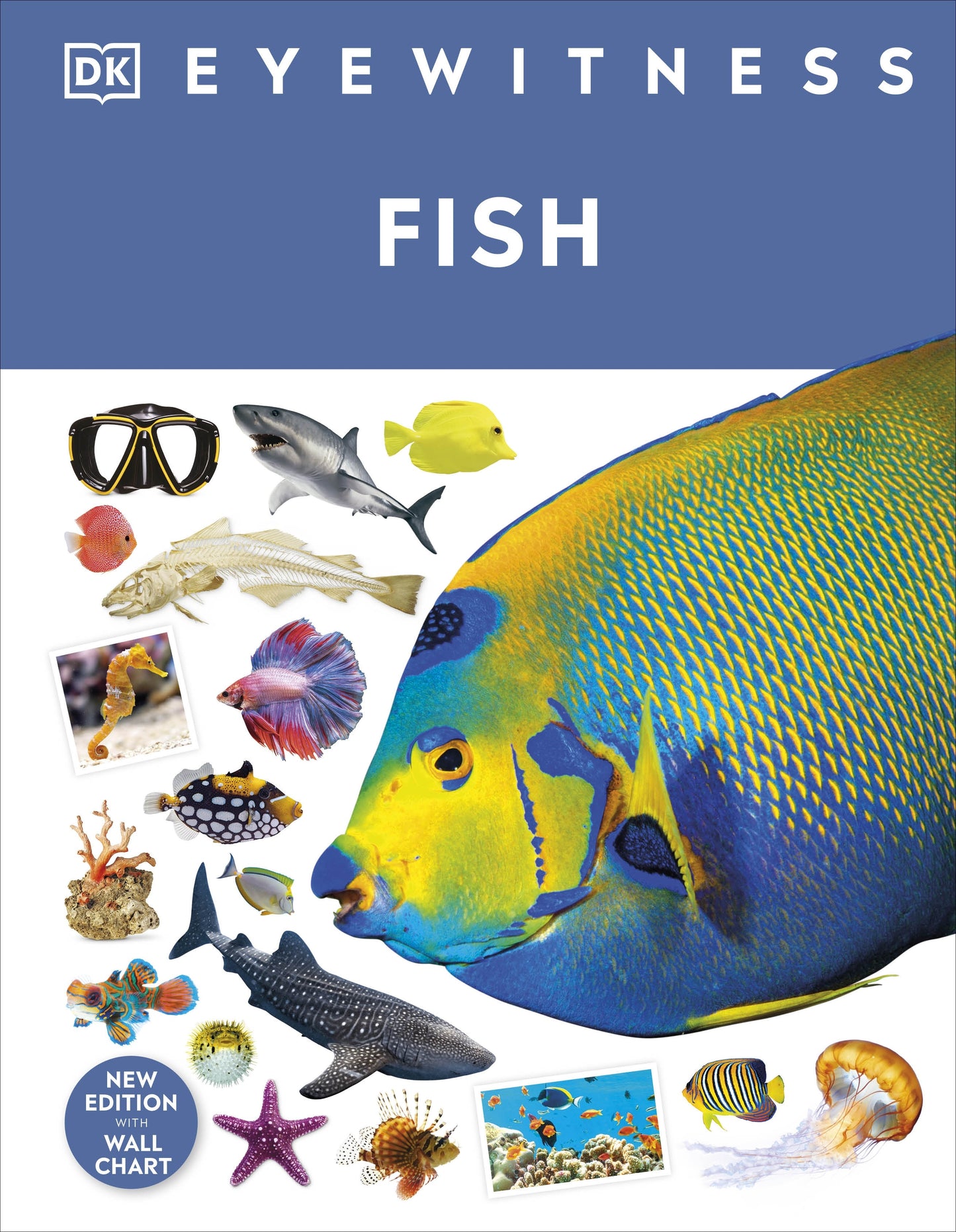 EYEWITNESS FISH