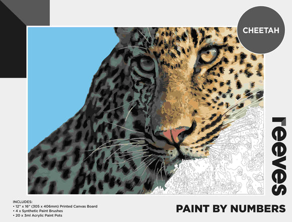 REEVES PAINT-BY-NUMBERS 12