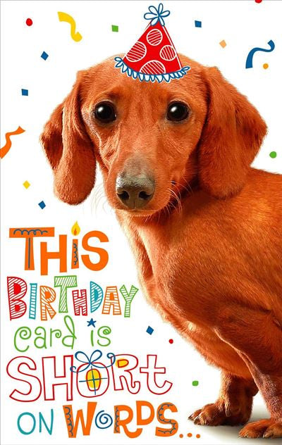 BIRTHDAY CARD DACHSHUND WITH PARTY HAT