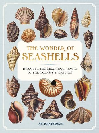 THE WONDER OF SEASHELLS