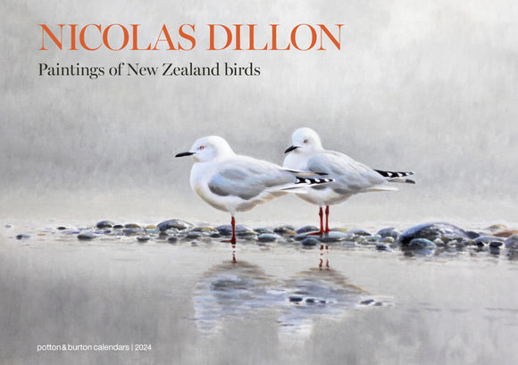 2024 CALENDAR NICOLAS DILLON PAINTINGS OF NEW ZEALAND BIRDS