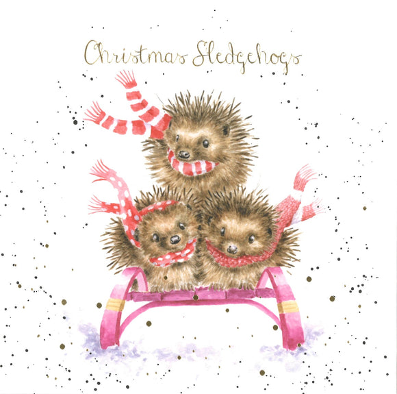 CHRISTMAS BOXED CARDS 'SLEDGEHOGS' 8 PACK