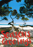 CHRISTMAS BOXED CARDS SUMMER BEACH 8 PACK
