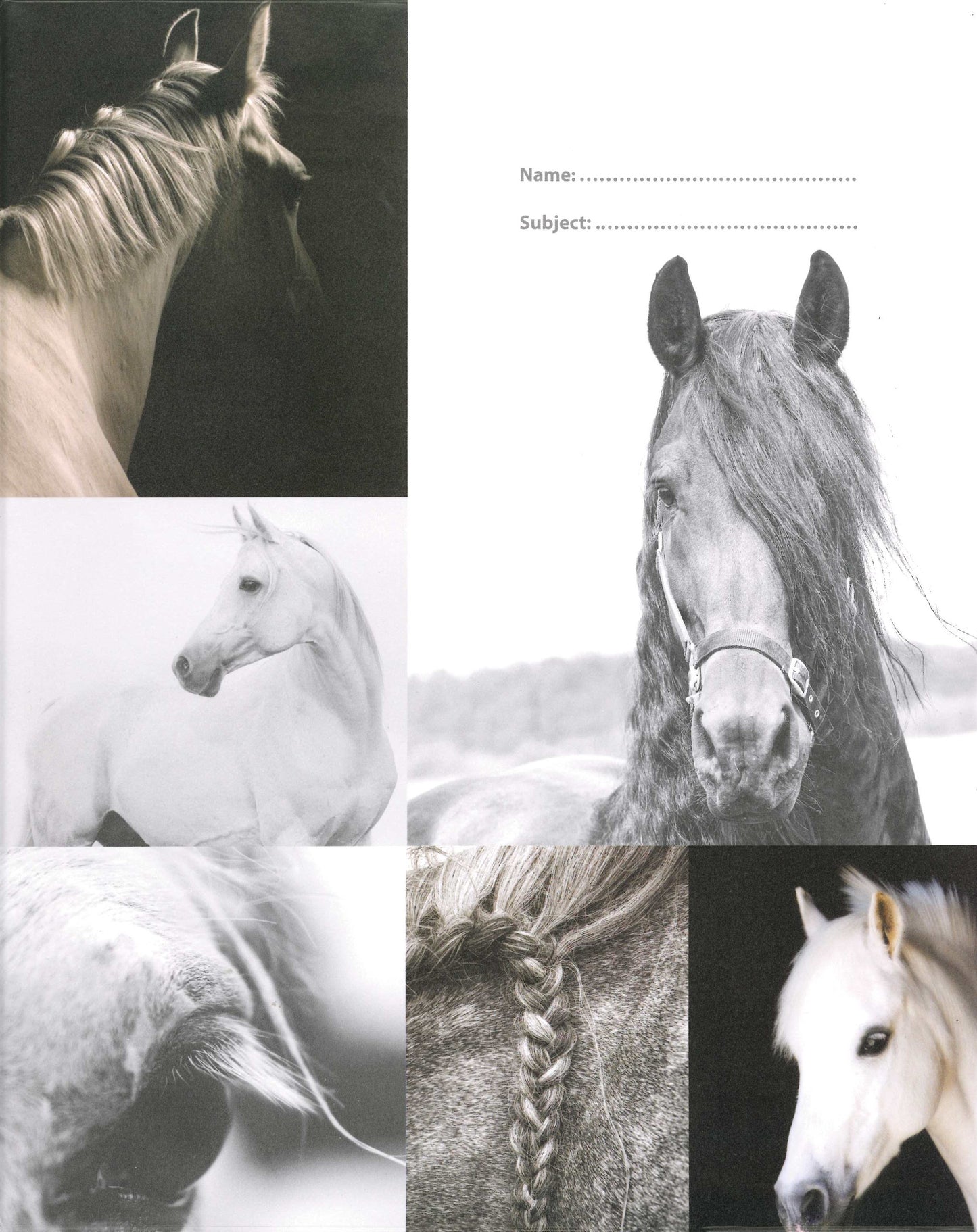SPENCIL 1B5 BOOK COVERS ASSORTED