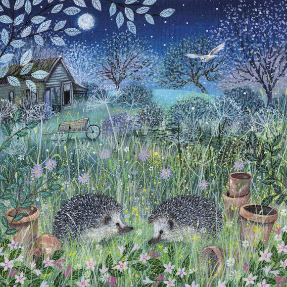 BLANK CARD COAST AND COUNTRY HEDGEHOGS
