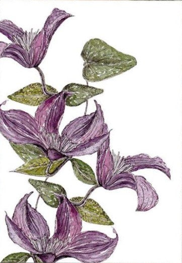 BLANK CARD PURE ART CLEMATIS