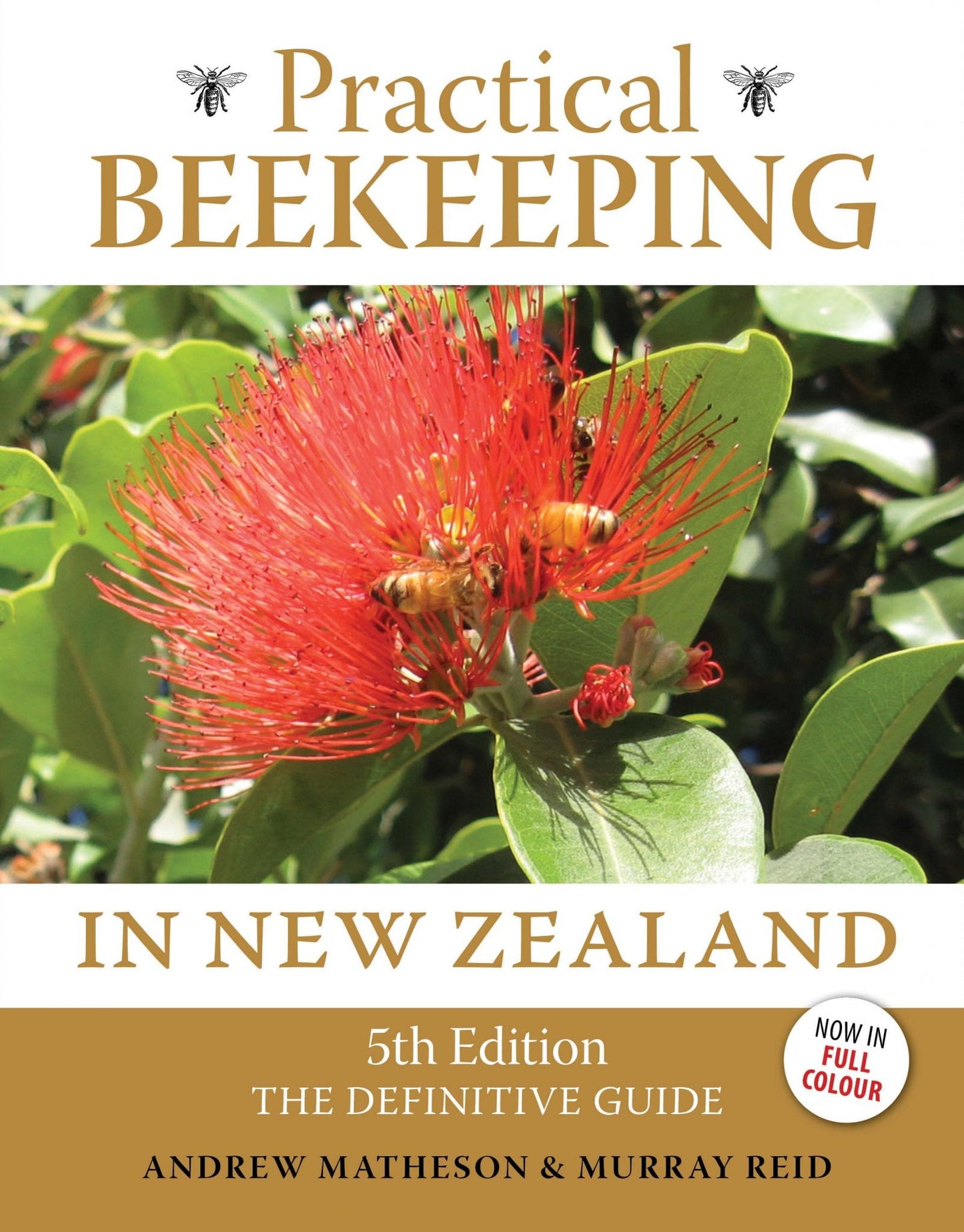 PRACTICAL BEEKEEPING IN NEW ZEALAND