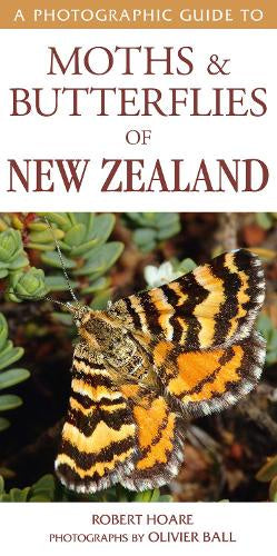 A PHOTOGRAPHIC TO GUIDE TO MOTHS AND BUTTERFLIES OF NEW ZEALAND