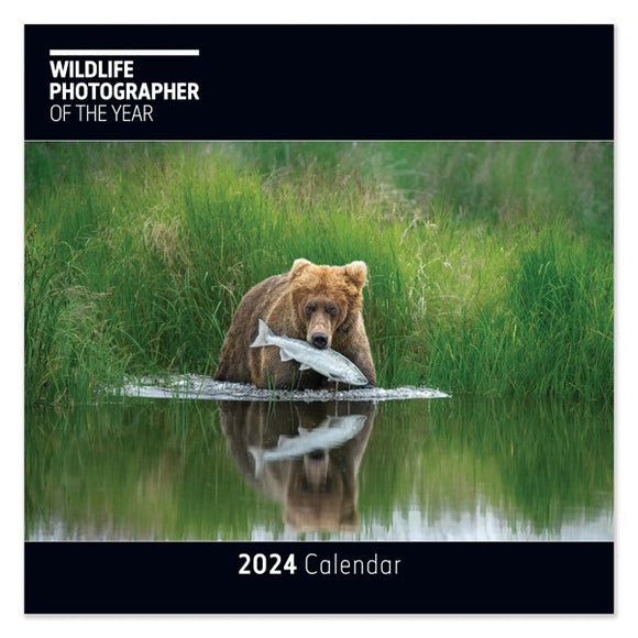 2024 CALENDAR WILDLIFE PHOTOGRAPHER OF THE YEAR