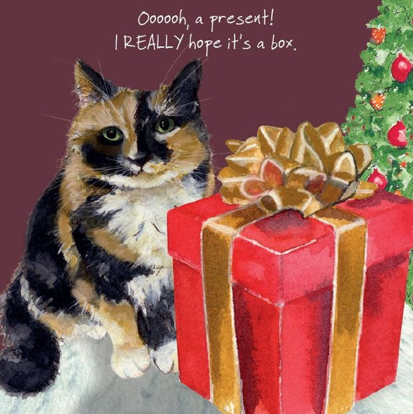 CHRISTMAS CARD PRESENT BOX