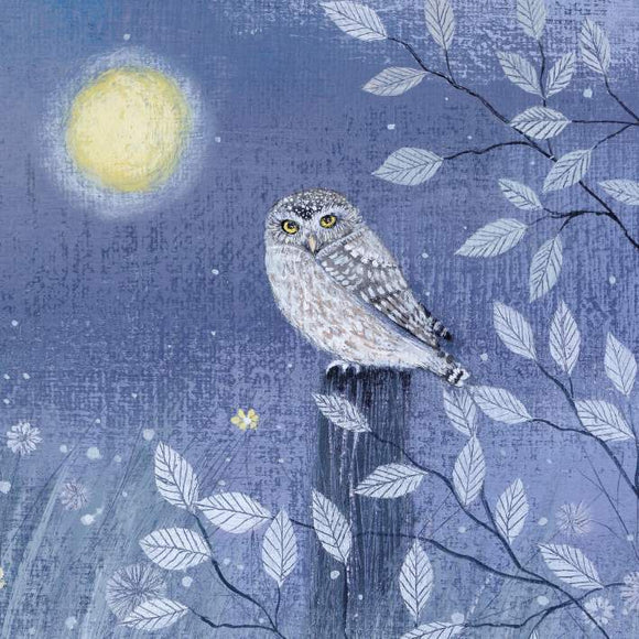 BLANK CARD COAST AND COUNTRY LITTLE OWL