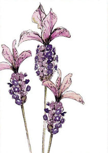 BLANK CARD PURE ART FRENCH LAVENDER
