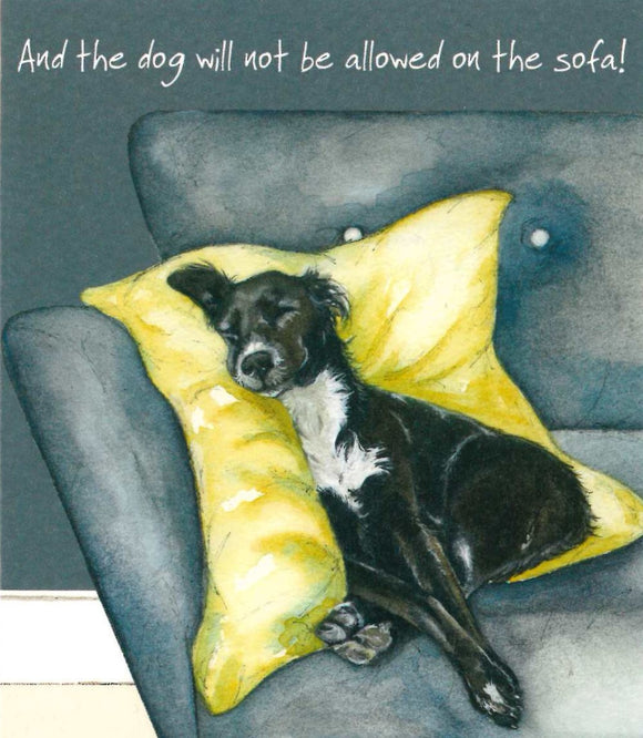 MINI CARD AND THE DOG WILL NOT BE ALLOWED ON THE SOFA