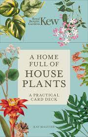 A HOME FULL OF HOUSE PLANTS