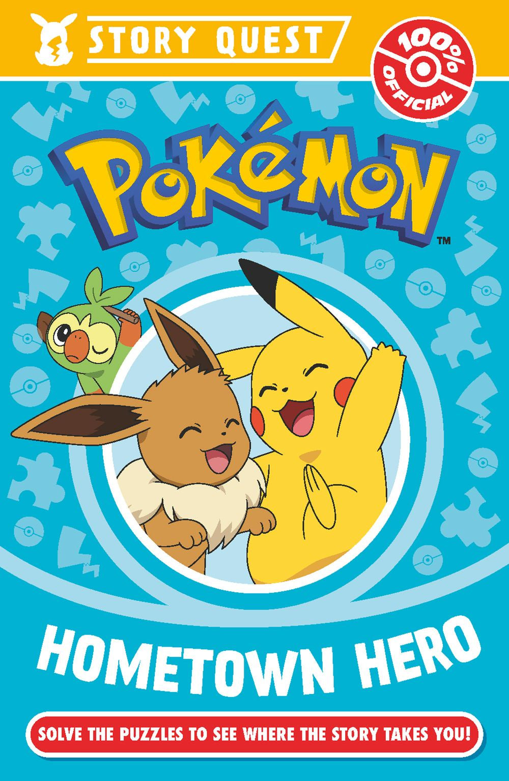 POKEMON STORY QUEST HOMETOWN HERO